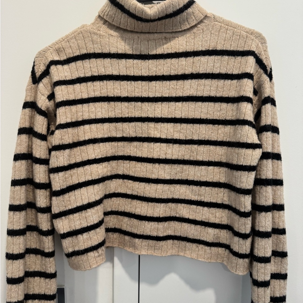 H&M Cozy Black and Tan Striped Sweater
